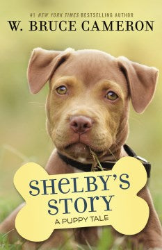 Shelby's Story - MPHOnline.com