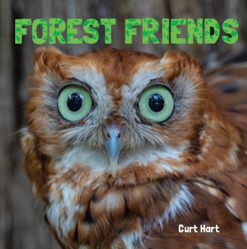 Forest Friends - MPHOnline.com