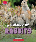 A Colony of Rabbits - MPHOnline.com
