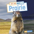 Day and Night on the Prairie - MPHOnline.com