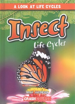 Insect Life Cycles - MPHOnline.com