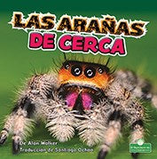 Las ara?as de cerca/ Spiders Up Close - MPHOnline.com