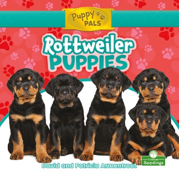 Rottweiler Puppies - MPHOnline.com