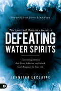 The Spiritual Warrior?s Guide to Defeating Water Spirits - MPHOnline.com