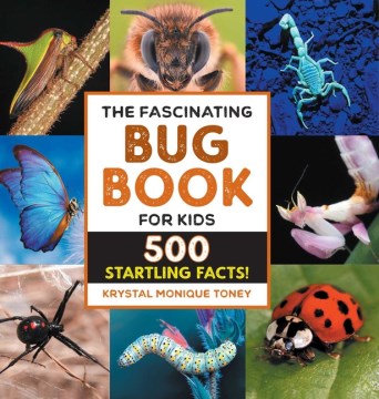 The Fascinating Bug Book for Kids - MPHOnline.com