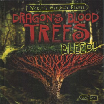 Dragon's Blood Trees Bleed! - MPHOnline.com