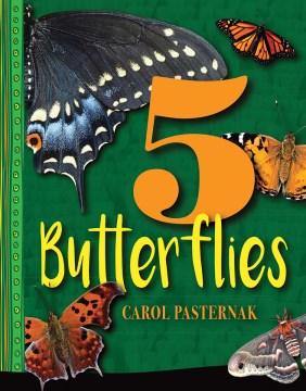 5 Butterflies - MPHOnline.com