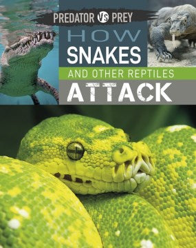 How Snakes and Other Reptiles Attack! - MPHOnline.com