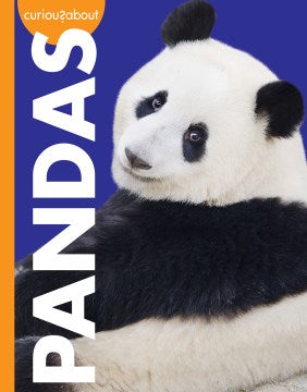 Curious About Pandas - MPHOnline.com