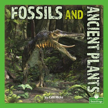 Fossils and Ancient Plants - MPHOnline.com