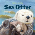 The Secret Life of the Sea Otter - MPHOnline.com