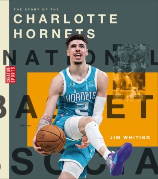 The Story of the Charlotte Hornets - MPHOnline.com