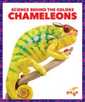 Chameleons - MPHOnline.com