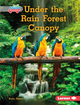 Under the Rain Forest Canopy - MPHOnline.com