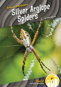 Silver Argiope Spiders - MPHOnline.com