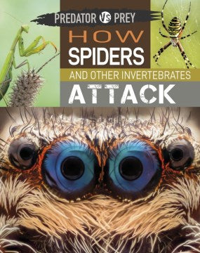 How Spiders and Other Invertebrates Attack! - MPHOnline.com