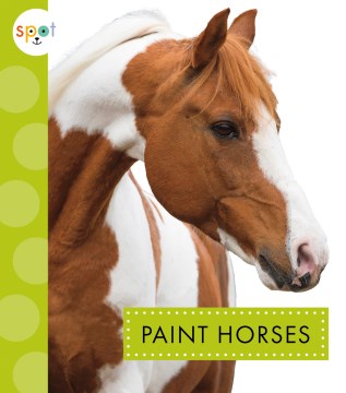 Paint Horses - MPHOnline.com