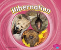 Hibernation - MPHOnline.com