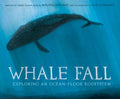 Whale Fall - MPHOnline.com