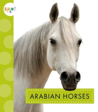 Arabian Horses - MPHOnline.com