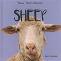 Sheep - MPHOnline.com