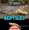 Big and Small Reptiles - MPHOnline.com