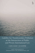 Liability for Transboundary Pollution at the Intersection of Public and Private International Law - MPHOnline.com