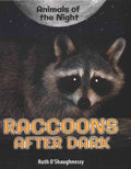 Raccoons After Dark - MPHOnline.com