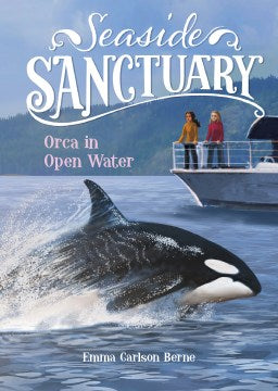 Orca in Open Water - MPHOnline.com