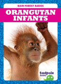 Orangutan Infants - MPHOnline.com