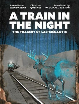 A Train in the Night - MPHOnline.com