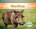 Warthog - MPHOnline.com