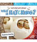 What Is Hatching? - MPHOnline.com