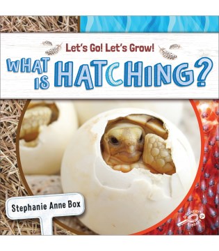 What Is Hatching? - MPHOnline.com