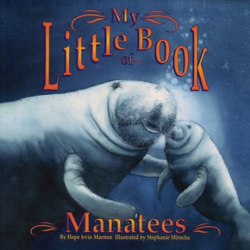 My Little Book of Manatees - MPHOnline.com