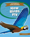 How Birds Fly - MPHOnline.com