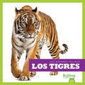 Los tigres / Tigers - MPHOnline.com