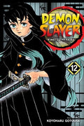 Demon Slayer: Kimetsu no Yaiba, Vol. 12 (12) - MPHOnline.com