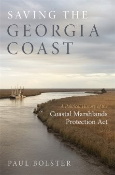 Saving the Georgia Coast - MPHOnline.com