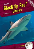 Blacktip Reef Sharks - MPHOnline.com