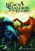 The Black Stallion and Flame - MPHOnline.com