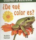 De que color es?/ What Color Is It? - MPHOnline.com