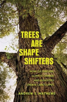 Trees Are Shape Shifters - MPHOnline.com