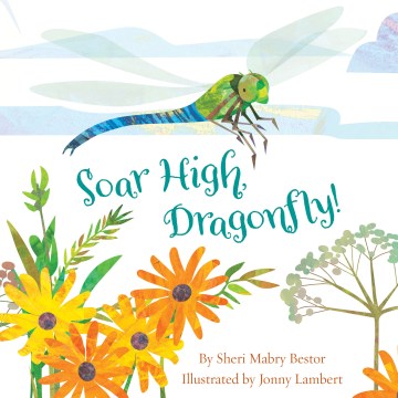 Soar High, Dragonfly - MPHOnline.com