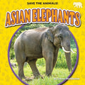 Asian Elephants - MPHOnline.com