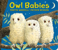 Owl Babies Board Book - MPHOnline.com