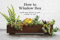 How to Window Box - MPHOnline.com