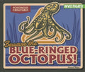 Beware the Blue-ringed Octopus! - MPHOnline.com