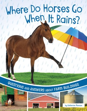 Where Do Horses Go When It Rains? - MPHOnline.com