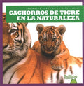 Cachorros de tigre en la naturaleza - MPHOnline.com